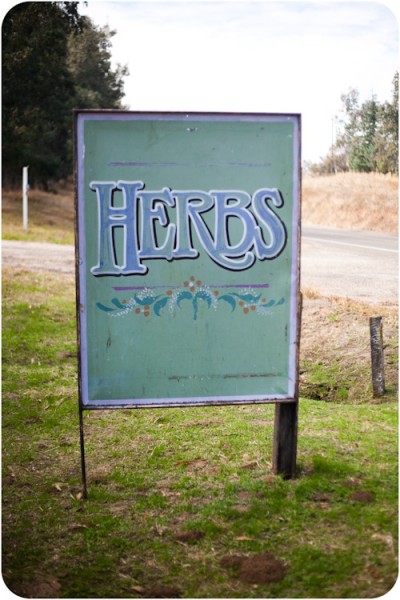 Squaw Valley Herb Garden (part 1) – McLaughlin Designs